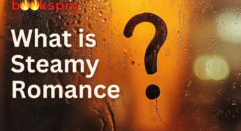 What is Steamy Romance? Heat Levels Explained